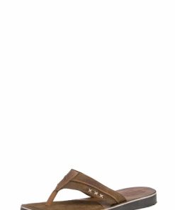 Sanderscass.shop06a0295b95 1